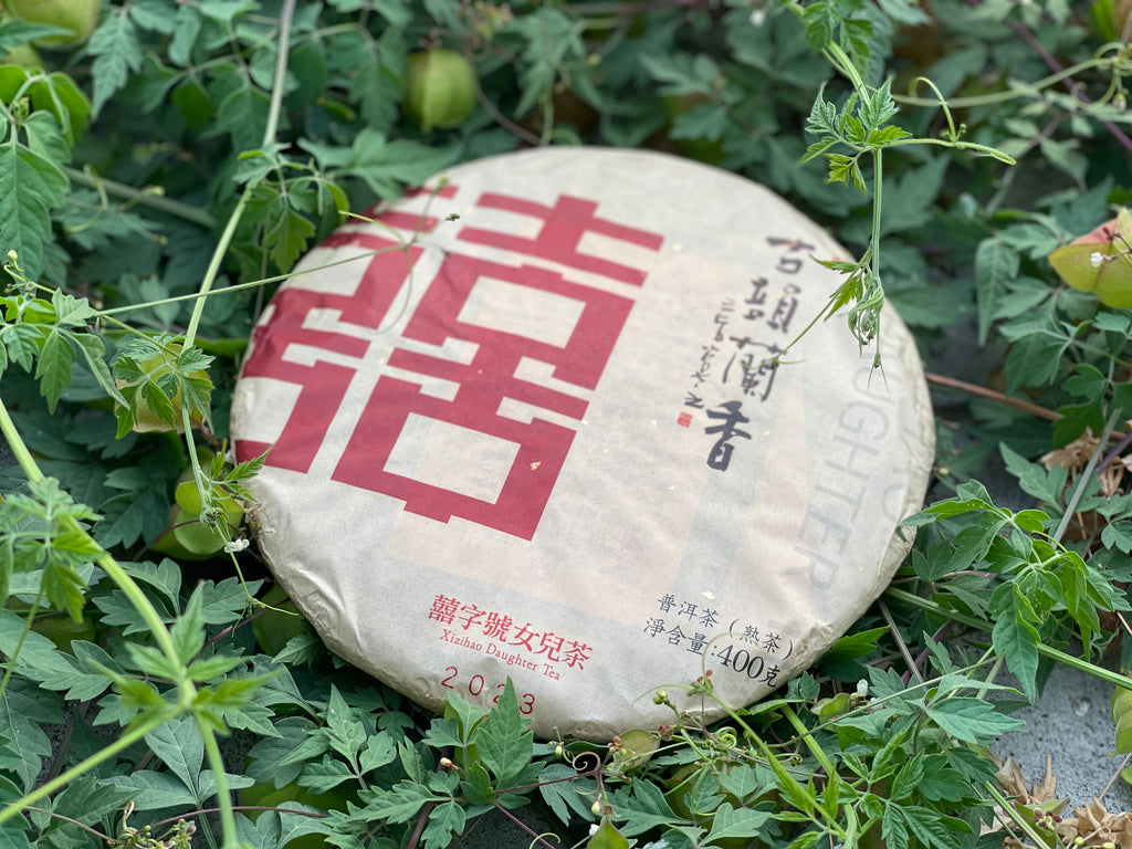 2023 古韻蘭香 - 熟茶 Ancient Orchid - Ripened Tea