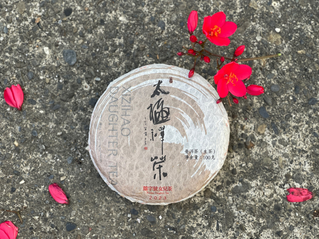 2023 太極禪茶 Chan Tea of Taiji