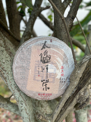 2023 太極禪茶 - 茶王餅 Chan Tea of Taiji - Chawangbing