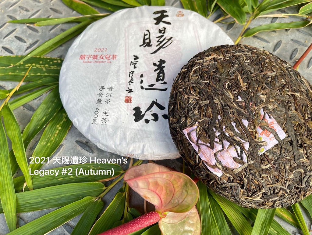 Xizihao Raw Puerh Sampler - 1